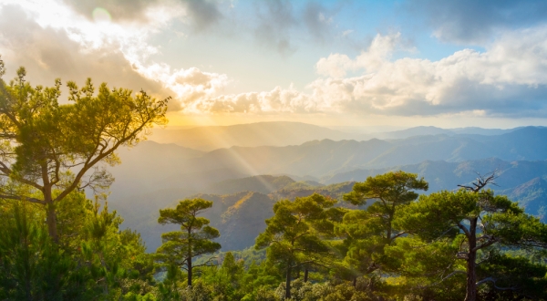 Hire Smart: How to Choose the Right Car for Your Cyprus Trip